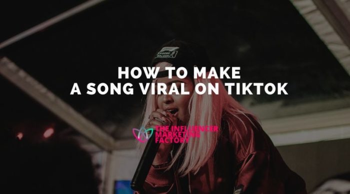 How to Make a Song Viral on TikTok - Influencer Marketing ...